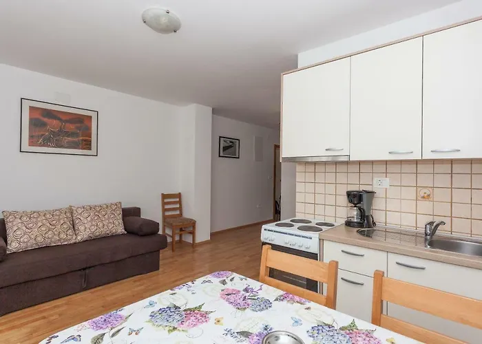 Mrsic ビオグラード・ナ・モル